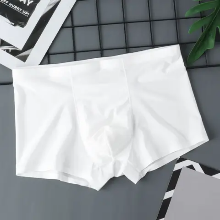HF Men's Branded Imported Ice silk Boxer (1 Pcs)